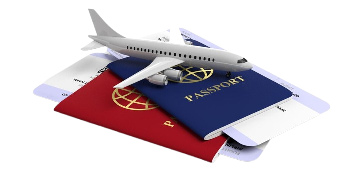 Immigration Software